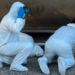 Tyson plant workers find body in shipment of corn on train – Law Officer